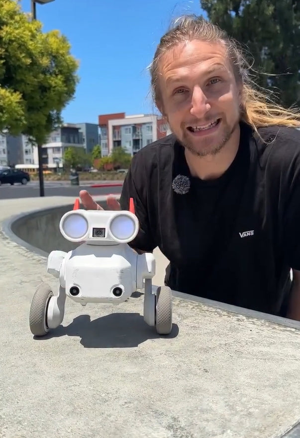 Mondo Robotics